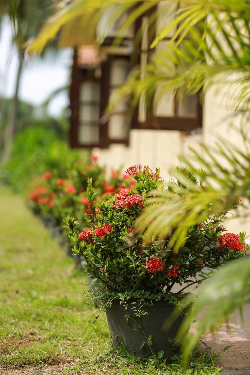 Rathgama Beach House Exterior foto